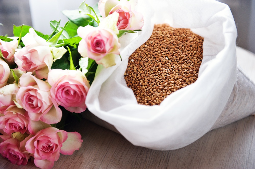 Zaczynaliśmy od ekologicznej uprawy gryki